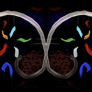 La armonía del caos 30