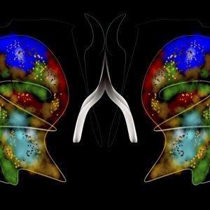 La armonía del caos 31