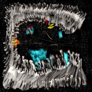 La danza de la vida 34