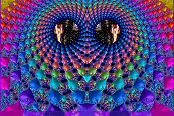 C. fractals 3. 80x120. 2022 C. fractals 3. 80x120. 2022