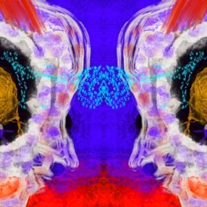 Contemplación del caos 10