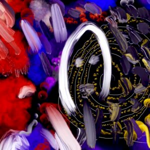 Contemplación del caos 8